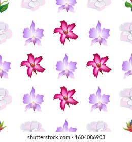 Green bird of paradise. White Camellia. Pink Adenium. Purple Orchid. Vector illustration. Seamless background pattern. Floral botanical flower. Wild leaf wildflower isolated. Exotic tropical.