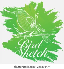 Green Bird Sketch Vector