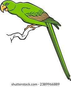 grüner Vogel, Vektorgrafik einzeln auf weißem Hintergrund