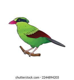 green bird vector, this bird has green feathers