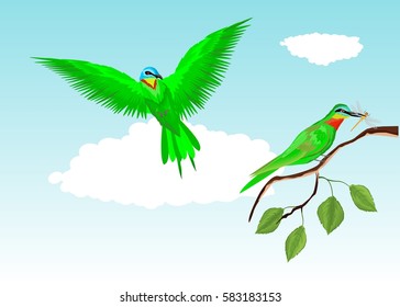 Green birds on tree branch vector illustration