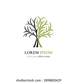 Green and black abstract golden tree logo. Modern vector illustration. Isolated vector. Great for emblem, monogram, invitation, flyer, menu, brochure, background, or any desired idea.