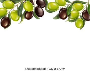 Green and black glossy olives branches with leaves on white background realistic vector illustration. Olive oil design