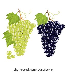 Green and black Grapes