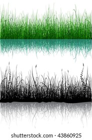 Green and black grass isolated on white - vector in eps8