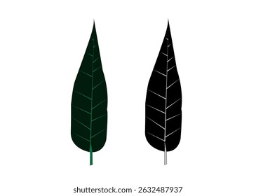 Hoja verde y negra aislada sobre fondo blanco 