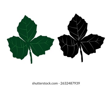 Folha verde e preta isolada sobre fundo branco 