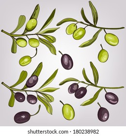 Green and black olives.