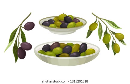 Aceitunas verdes y negras en el juego de vectores Bowl