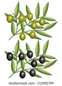 Green and black olives branches. Vector icons set.