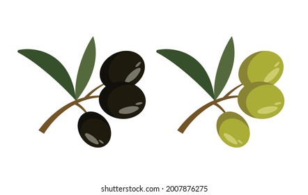 Green and black olives and leaves isolated on white background. Olive oil branches in flat style. Vector stock