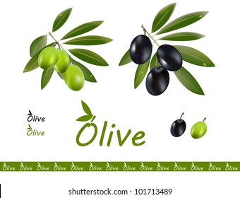 Green and black olives in one set and a logo for olive oil.