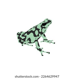 The Green and Black Poison Dart Frog, Dendrobates auratus vector design, png high quality image with transparent background