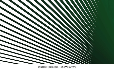 Green and black stripes line pattern abstract background for fabric style