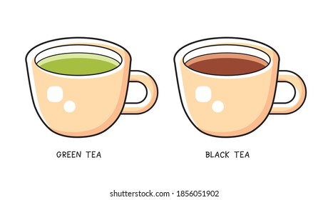 Green and black tea cup isolated