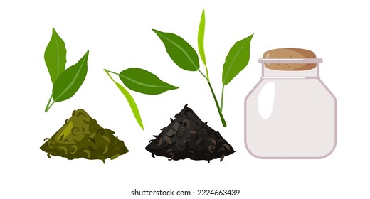 Green and Black Tea. Dry tea leaves Slides for cooking hot drink, green fresh leaves, empty jar closed with cork. Flat vector illustration isolated on white background for poster, logo tea shop, menu