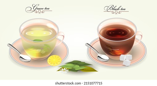 Green and black tea in glass cups .Vector illustration