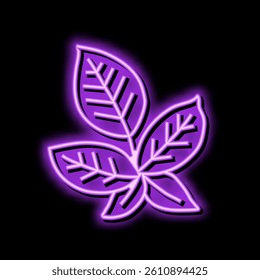 green blackberry leaf neon light sign vector. green blackberry leaf illustration
