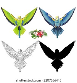 Green and blue bird budgerigar flying outline and silhouette and orchids vector