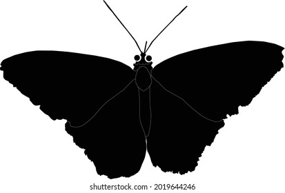 Green and blue butterfly silhouette vector