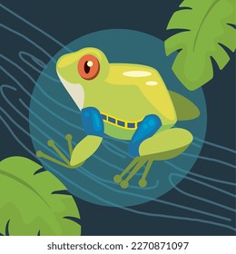 green and blue frog amphibian animal