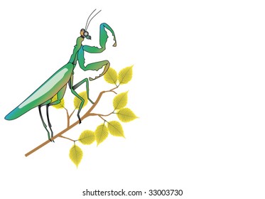 green and blue praying mantis