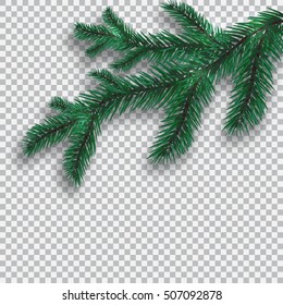 Green Blue realistic tree branch and its shadow. Against the background of the cell. vector illustration