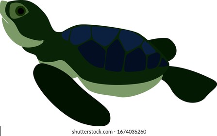 Green and blue turtle, illustration, vector on white background.