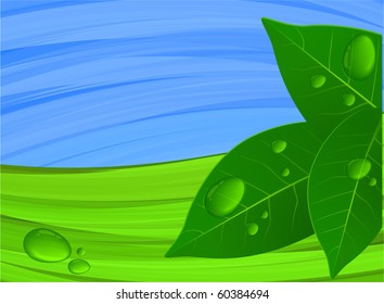 Green and blue. Vector.