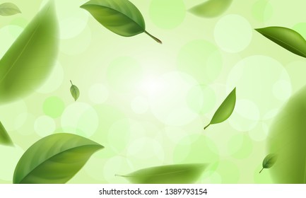 Green blurred leaves with bokeh defocused lights, vector