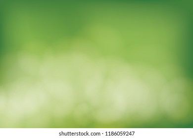 Green Blurred soft bokeh abstract background. Vector illustration.