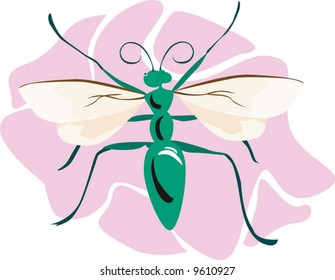 green body coloured bee on a pink surface	