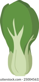 Green bok choy a healthy vegetable