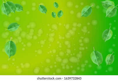 Green bokeh abstract light background. Spring sale. Summer foliage against on sunshine green backgrounds. Natural green eco background with leaves and bokeh. Spring concept. Stock vector illustration