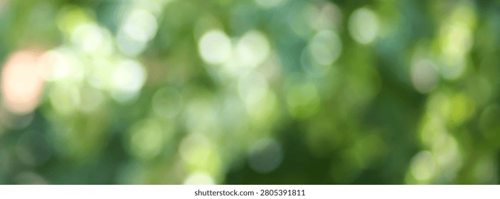 Green bokeh background with soft blurry spring or summer grass and sunlight. Defocused nature backdrop with green leaves, pink flowers and bright blue sky bokeh. Realistic vector bg