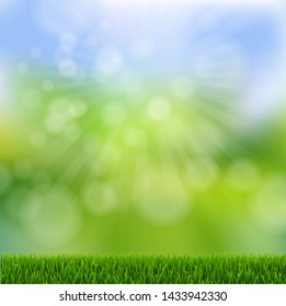 Green Bokeh With Green Grass Border With Gradient Mesh, Vector Illustration