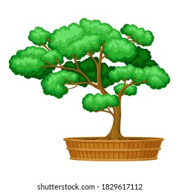 Green Bonsai Tree as Potted Plant with Lush Crown Vector Illustration