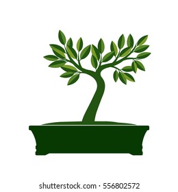 Green Bonsai Tree. Vector Illustration.