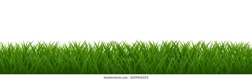 Green Border Isolated And White Background, Vector Illustration