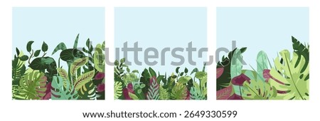 Green botanical cards set. Spring greenery, tropical nature, leaves, summer flowers, lush plants, eco square postcards. Floral backgrounds, thickets, garden, vegetation. Flat vector illustrations