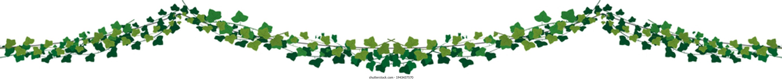 green botanical garland with ivy branches. Vector illustration.