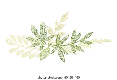 Green Botanical Hand Drawn Leaf Composition Stock Vector (Royalty Free ...