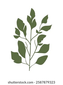 Green botanical leaves and branch hand drawn.Vector illustration.