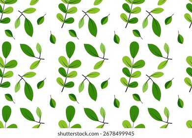 Patrón botánico verde: fondo transparente con hojas en las ramas para la decoración natural