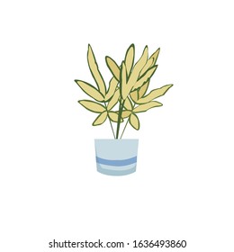 Green Botanical Pot Vector Illustration