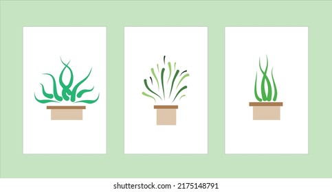 Botánica verde. Diseño vectorial de jardín de macetas.