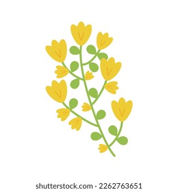 Rama verde con brotes florecientes, flores de primavera. Elementos botánicos. Flores silvestres y hierbas aromáticas. La mano dibujó hierba. Elementos de diseño de hierbas florales para postales, scrapbooking, textiles. Ilustración del vector