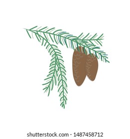 Green branch of a coniferous tree. Spruce and cone.   Isolated on white background. Cute simple branch for decoration-flat vector illustration.