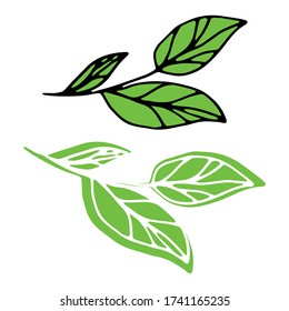 Rama verde para la decoración de la carta.