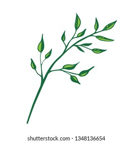 green branch flat isolated vector illustration on white background